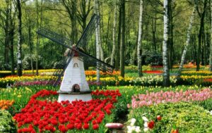 Read more about the article How To Plan A Garden Tour In Netherlands?